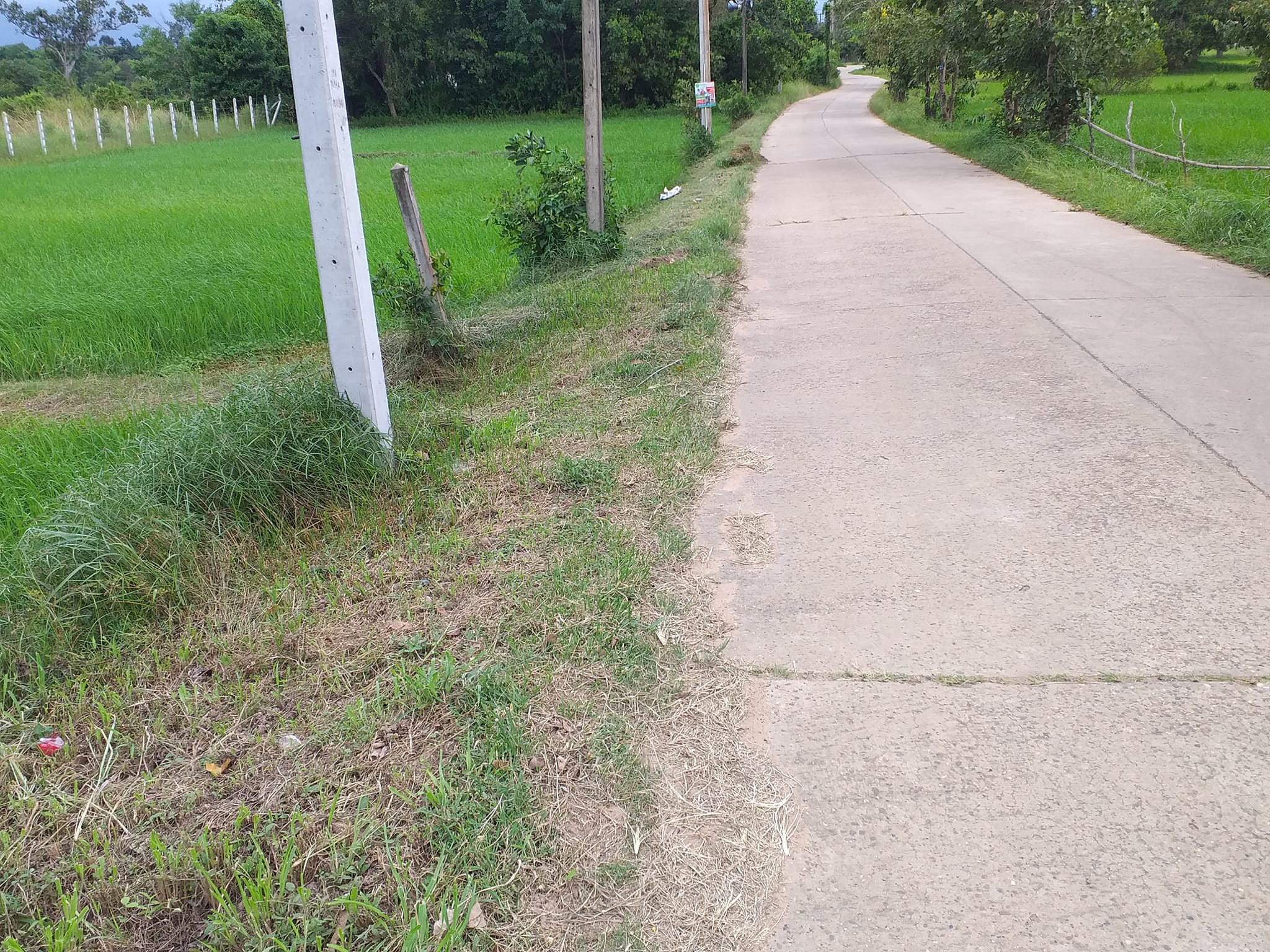 ขายที่ดินอุบลฯ เมืองอุบลฯ 0-1-86.4