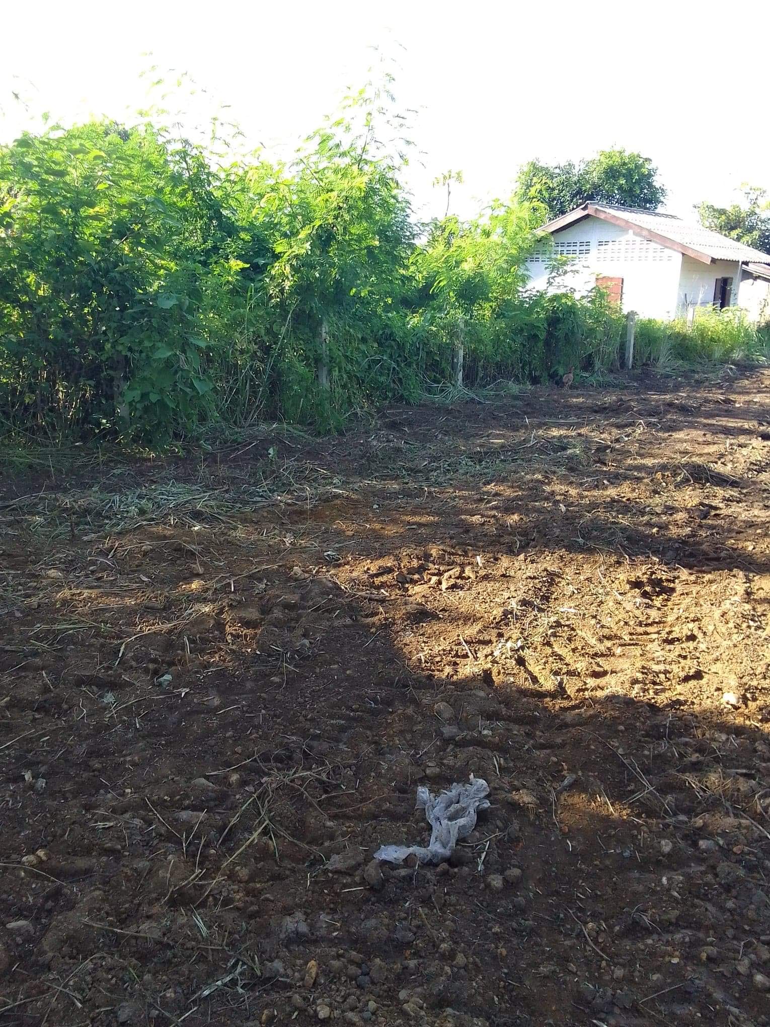 ที่ดิน 267 ตรว. แม่ลาว เชียงราย