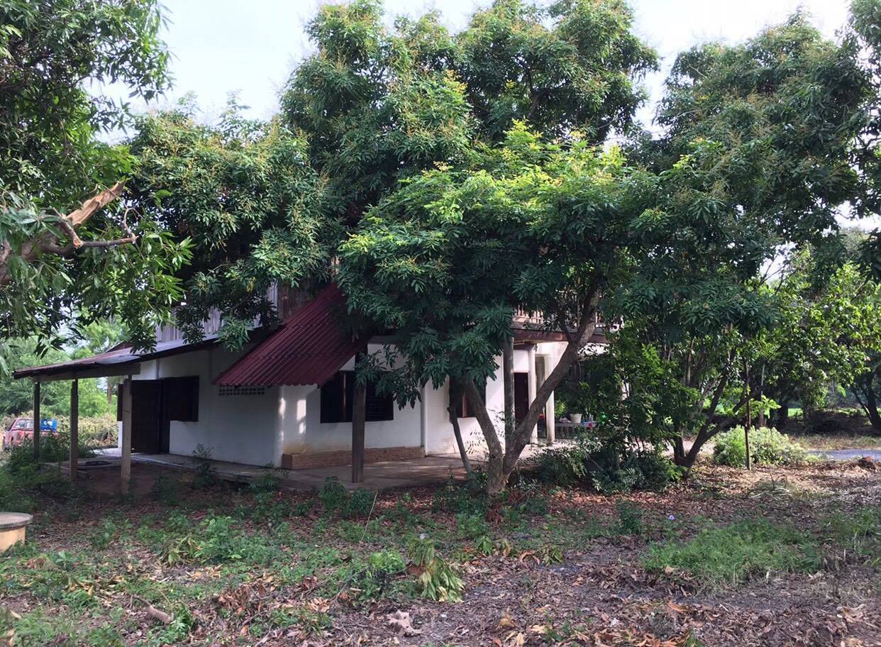 ที่ดินสวนพร้อมสิ่งปลูกสร้าง  สิงห์บุรี 7-1-67.5