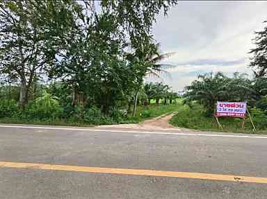 ขายที่่ดิน ชำอำ เพชรบุรี 3-0-59.9 ไร่
