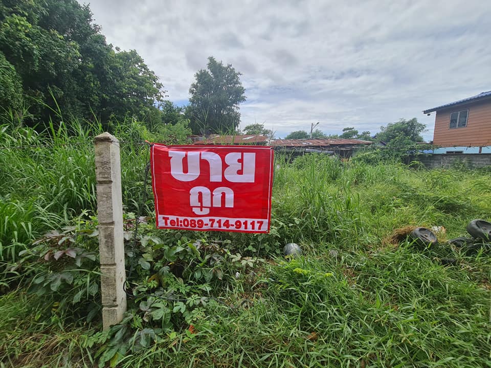 ที่ดินเปล่า ชลบุรี 47 ตร.ว