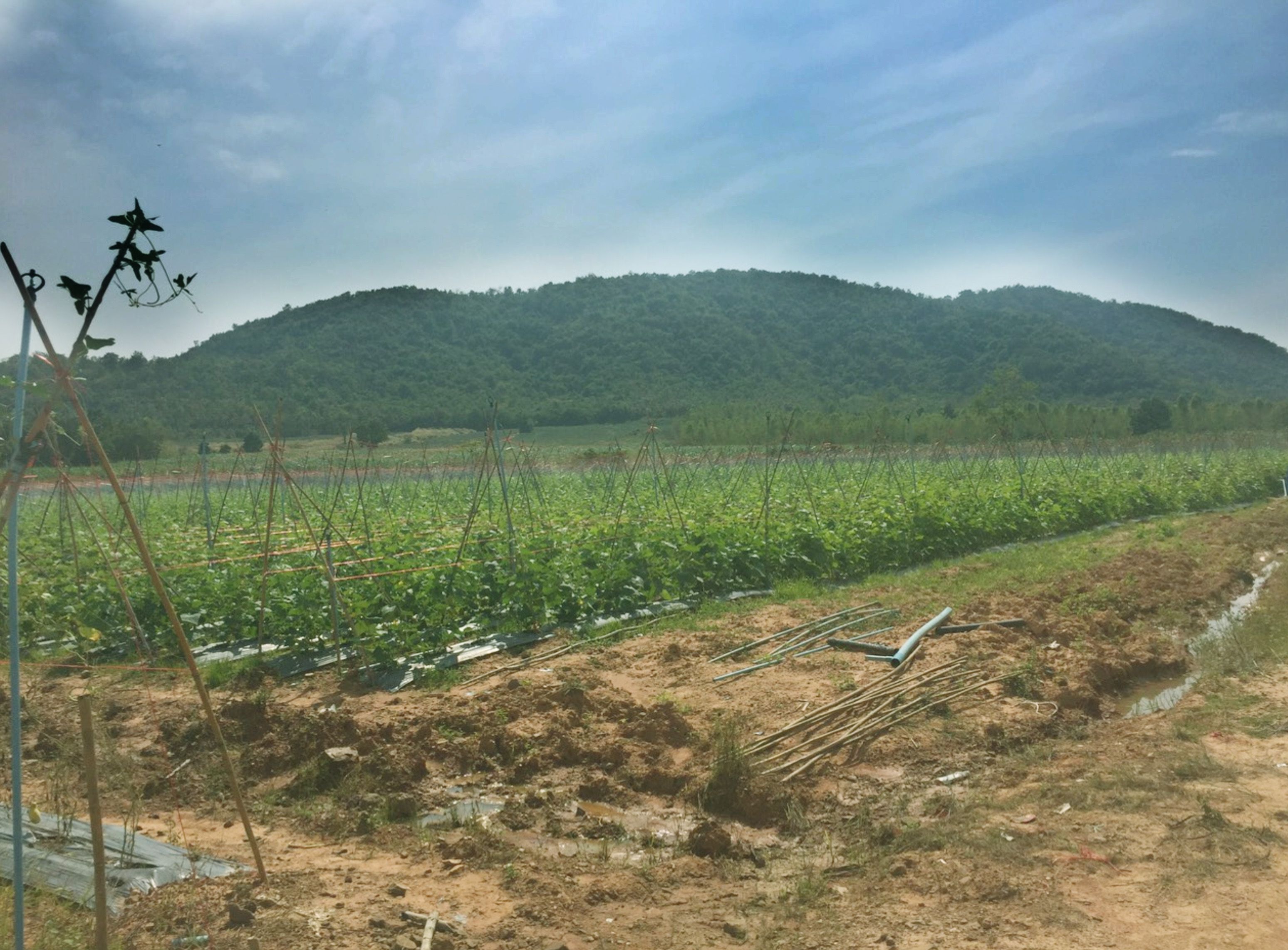 ขายที่ดิน 8.3 ไร่ วิวเขา ติดคลองส่งน้ำ