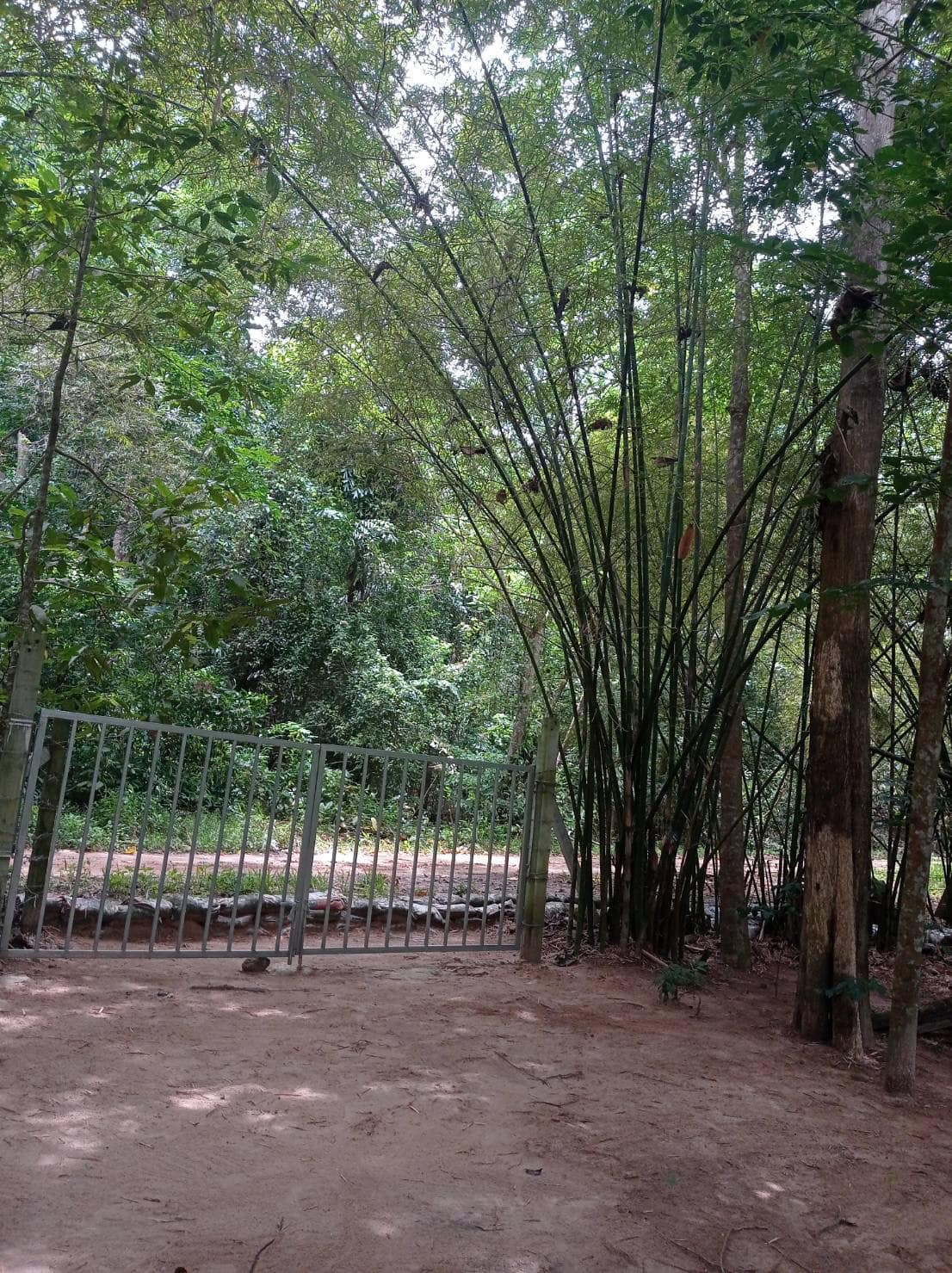 ที่ดินสวยหน้าแม่น้ำหลังภูเขา อ.เมืองระยอง จ.เมืองระยอง 6-0-4 ไร่