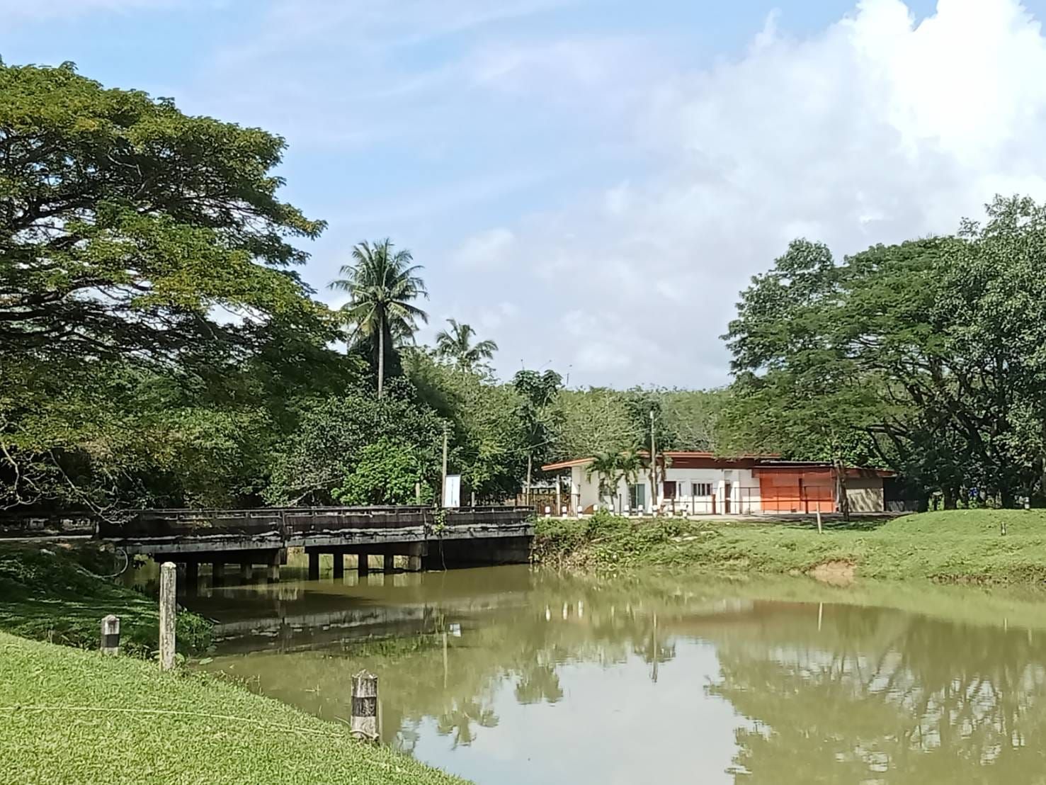 ขายที่ดินนครศรีธรรมราช ที่ดินพร้อมบ้าน น่าลงทุน ท่าศาลา นครศรีธรรมราช 4-1-29
