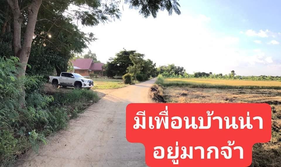 ที่ดินถมแล้ว โพทะเล พิจิตร 206 ตร.ว