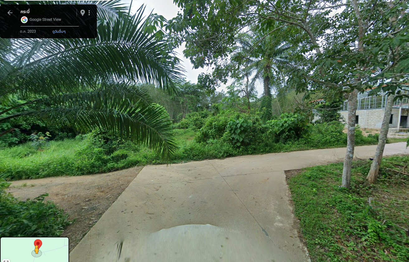 ขายที่ดินกระบี่ บรรยากาศดี แปลงสวย ใกล้โรงเรียนหนองทะเลวิทยา 0-2-95