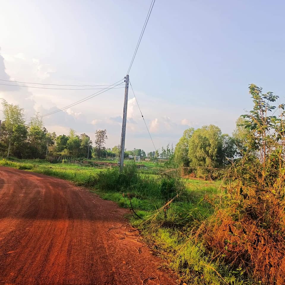 ที่ดิน บ้านใหม่ศรีสุวรรณ  อำเภอเพ็ญ จ. อุดรธานี  11-1-96