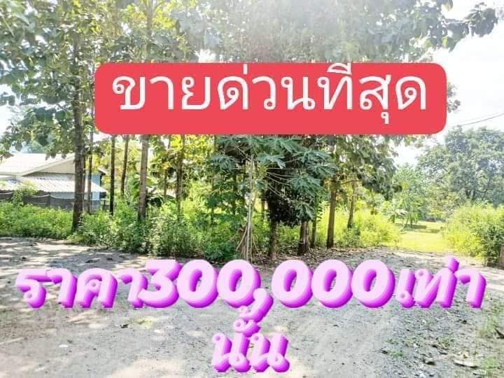 ขายที่ดิน แม่ฮ่องสอน 60 ตรว.