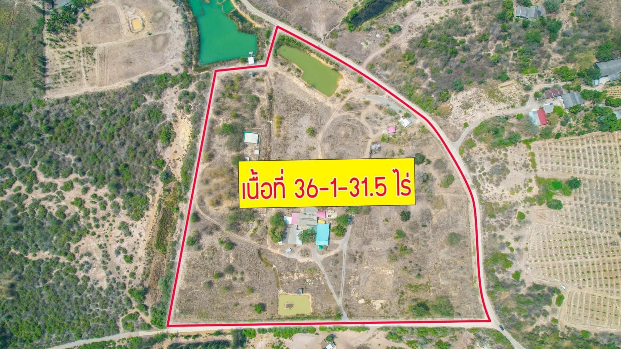 ขายด่วน‼️ที่ดินเปล่า ใกล้ถนนหลักเพชรเกษม 🛣️เส้นหัวหิน-ปราณบุรี 🏦 ทำเลค้าขาย ใกล้การไฟฟ้าปราณบุรี ต.หนองตาแต้ม อ.ปราณบุรี จ.ประจวบคีรีขันธ์  📌เนื้อที่รวม 36 ไร่ 1 งาน 31 ตารางวา