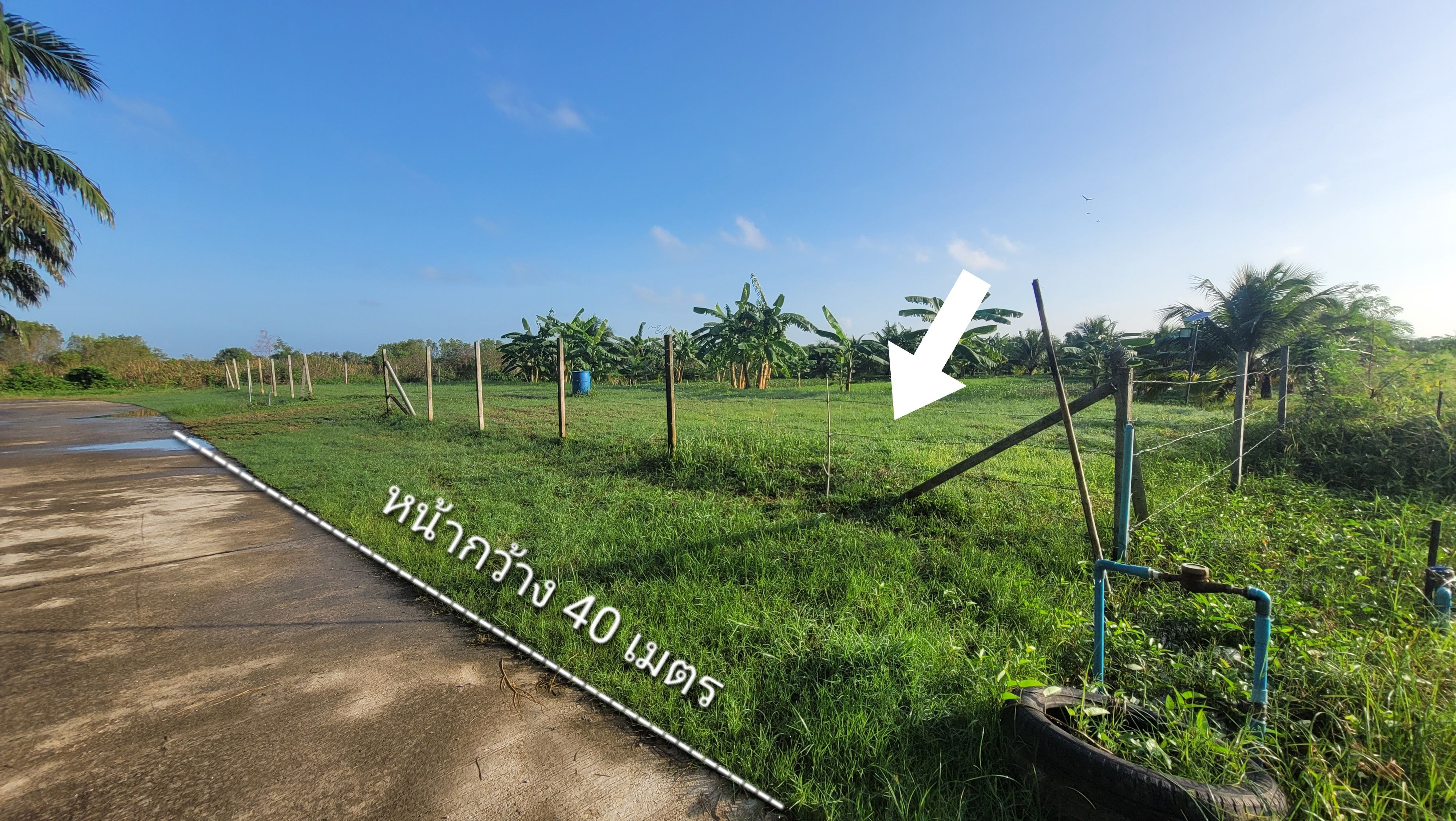 ขายที่ดิน 2 ไร่ หน้ากว้าง 40 เมตร เหมาะสร้างบ้านทำสวน ซอยปากนครทอง ต.ปากนคร อ.เมืองนครศรีฯ  