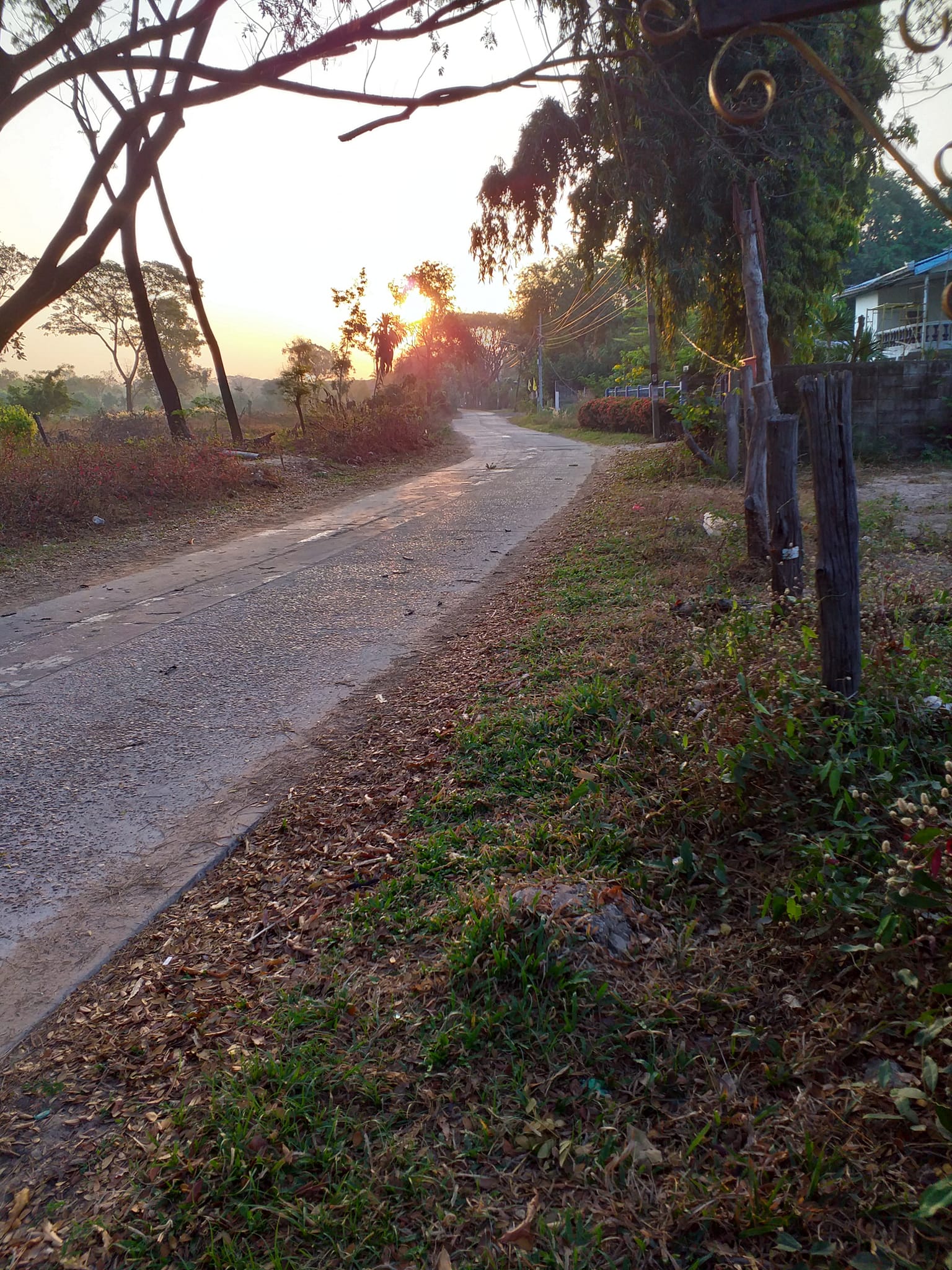 ขายที่ดินอุบลราชธานี เมืองอุบลฯ 0-1-43
