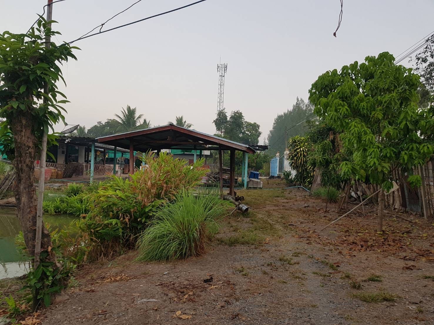 ขายที่ดินพร้อมบ้าน คลอง 9 ตำบล บึงซำอ้อ  อำเภอหนองเสือ จังหวัดปทุมธานี