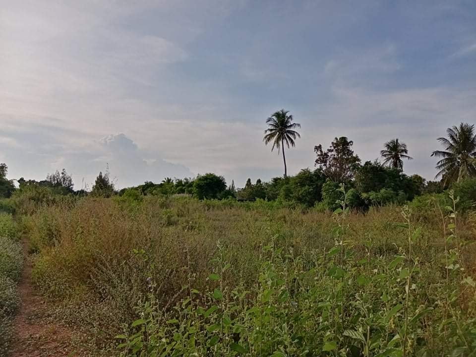 ที่ดินวิวเขา เพชรบุรี 2-3-91