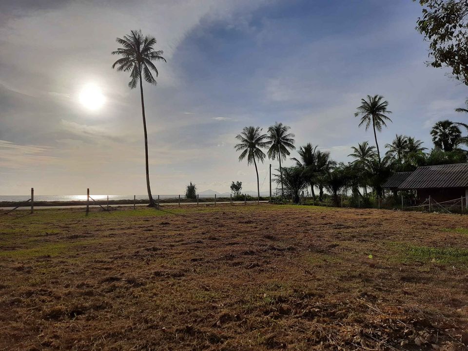 ที่ดินติดชาดหาด หาดสำราญ ตรัง 2-0-87.5 ไร่