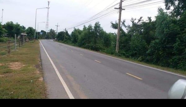 ที่ดินสวย บ้านไทรทอง ต.กำแพง ร้อยเอ็ด 1-3-84