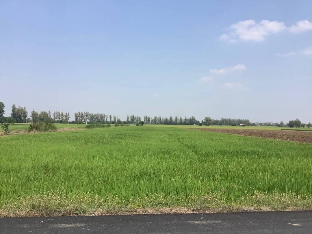 ขายที่ดินทำกิน น้ำไฟมีพร้อม ฟรีโอน