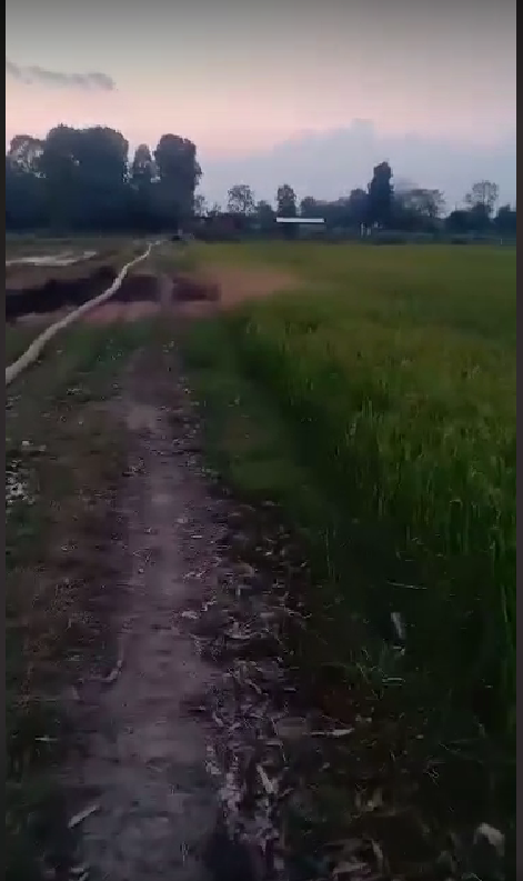 ที่ดินเปล่า สุโขทัย 13-0-0