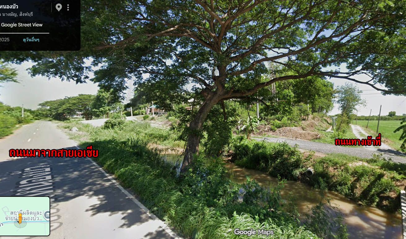 ขายที่ดิน 7 ไร่ สิงห์บุรี