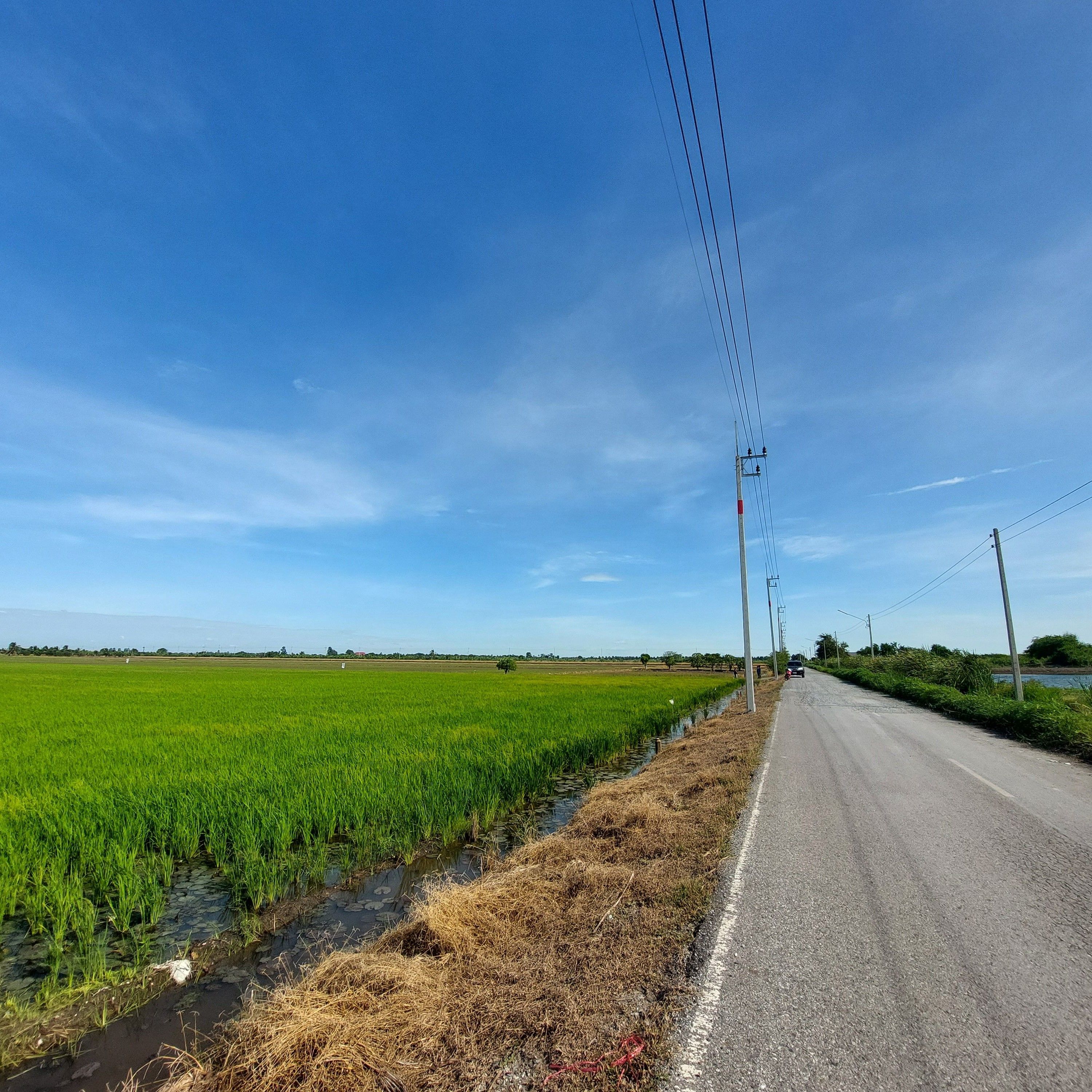 ขายที่ดินฉะเชิงเทรา แปลงสวย 43ไร่ หลวงแพ่ง เมืองฉะเชิงเทรา 43-0-0