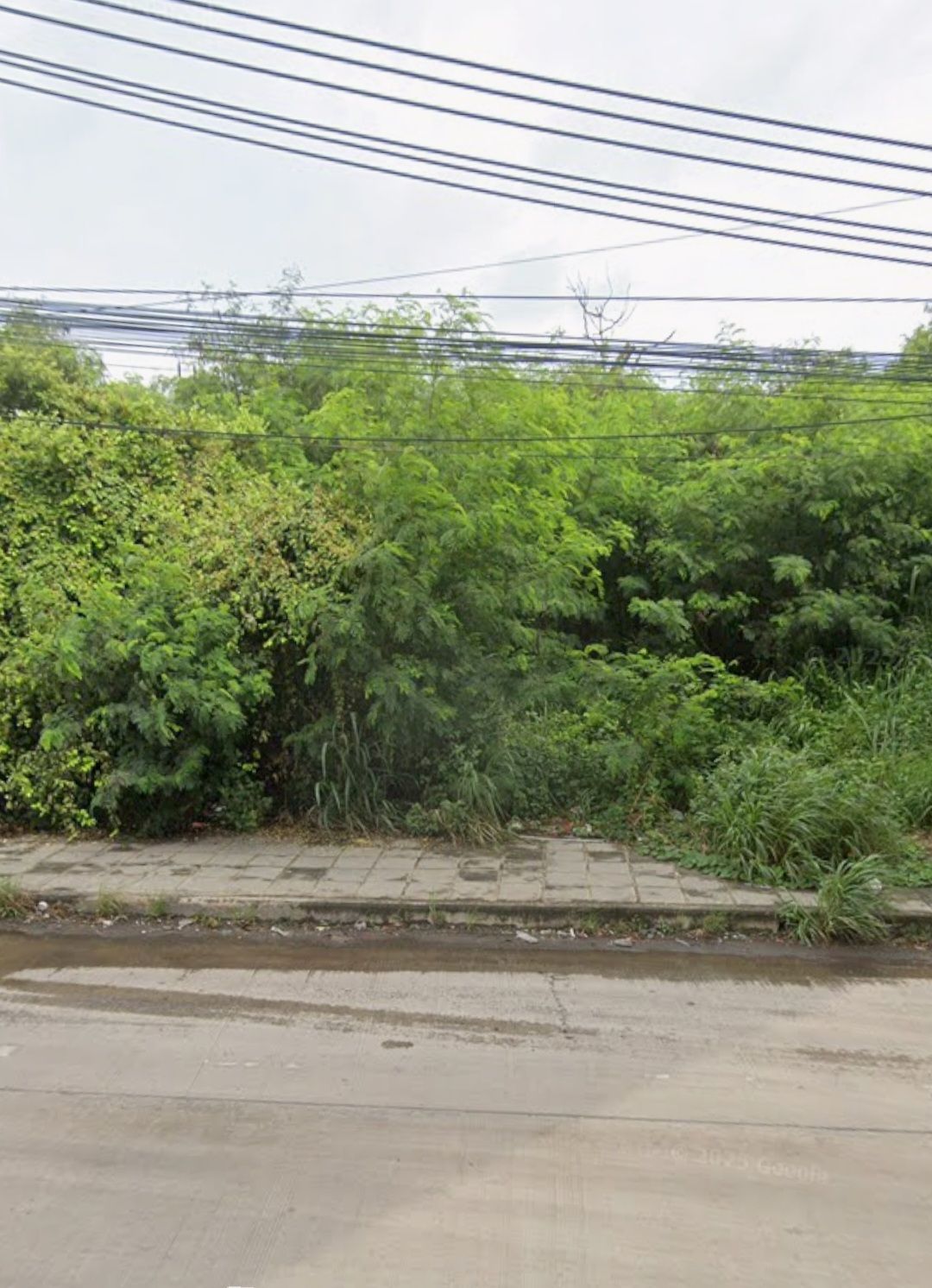 🏡 ที่ดินทำเลทอง แก่งคอย ติดถนนมิตรภาพ เพียง 850,000 บาท!