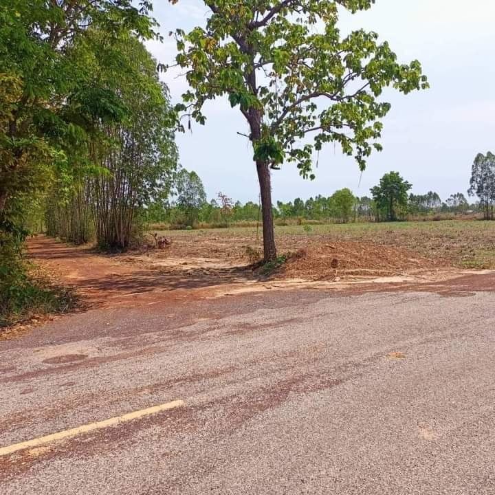 ขายที่ดิน อุดรธานี 3 ไร่