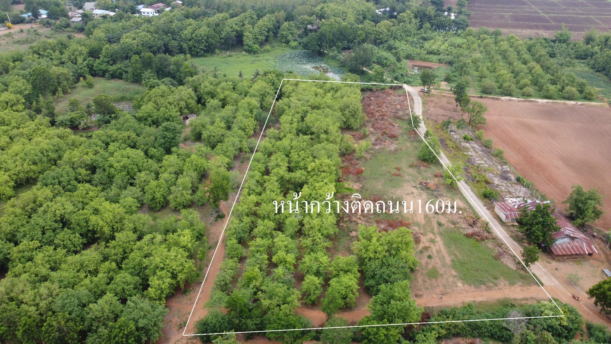 ที่ดินเปล่า เมืองเพชรบูรณ์ 7-0-58 ไร่