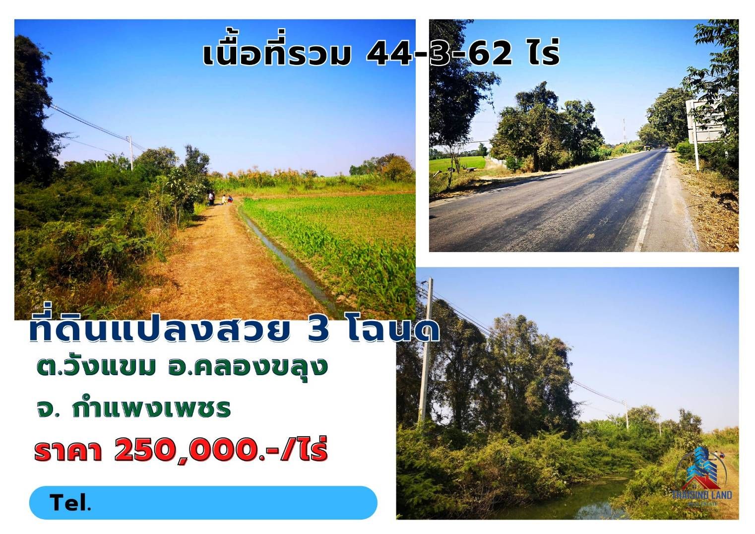 ขายที่ดินกำแพงเพชร แปลงสวย ทำเลงาม ใกล้โรงเรียนอนุบาลมิ่งขวัญ คลองขลุง 44-3-62