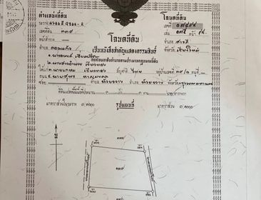 ที่ดินเปล่าสารภี 1-1-63