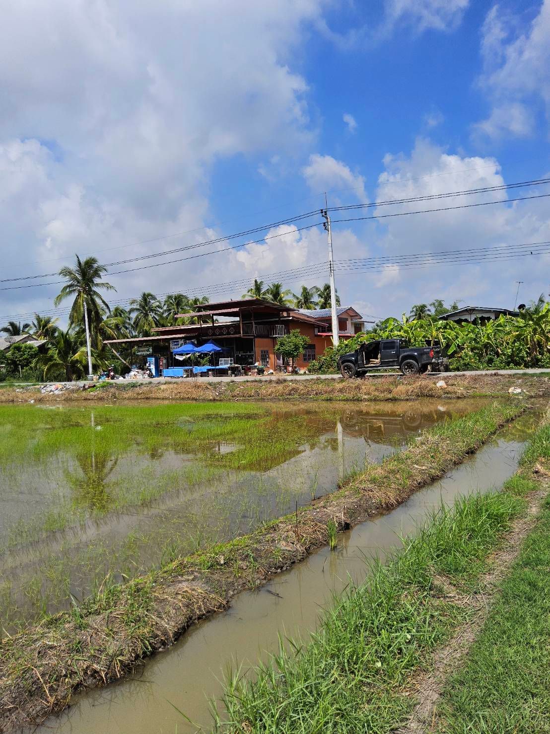 ที่ดินแปลงสวย ราคาถูกมากกกก!!! เป็นที่นาทั้งแปลง เนื้อที่ 22 ไร่ 1 งาน 75 ตรว.