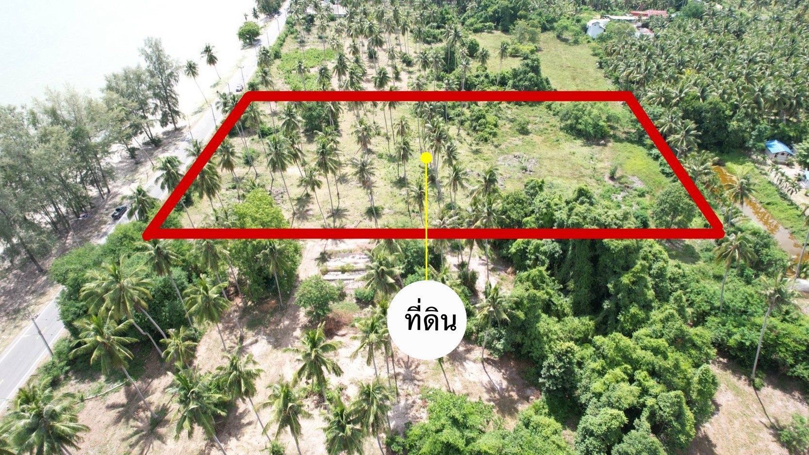 ที่ดินติดทะเล หาดแม่รำพึง ประจวบฯ