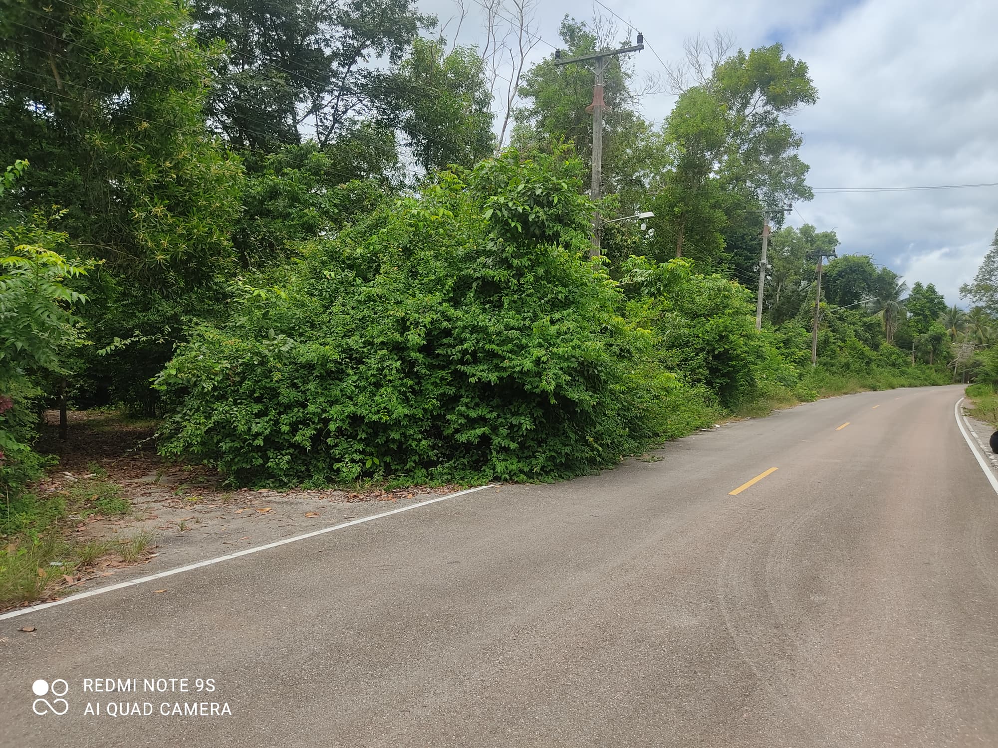 ที่ดินติดหาดสวย ที่สวย อ.เมืองชุมพร จ.ชุมพร 5-2-55 ไร่