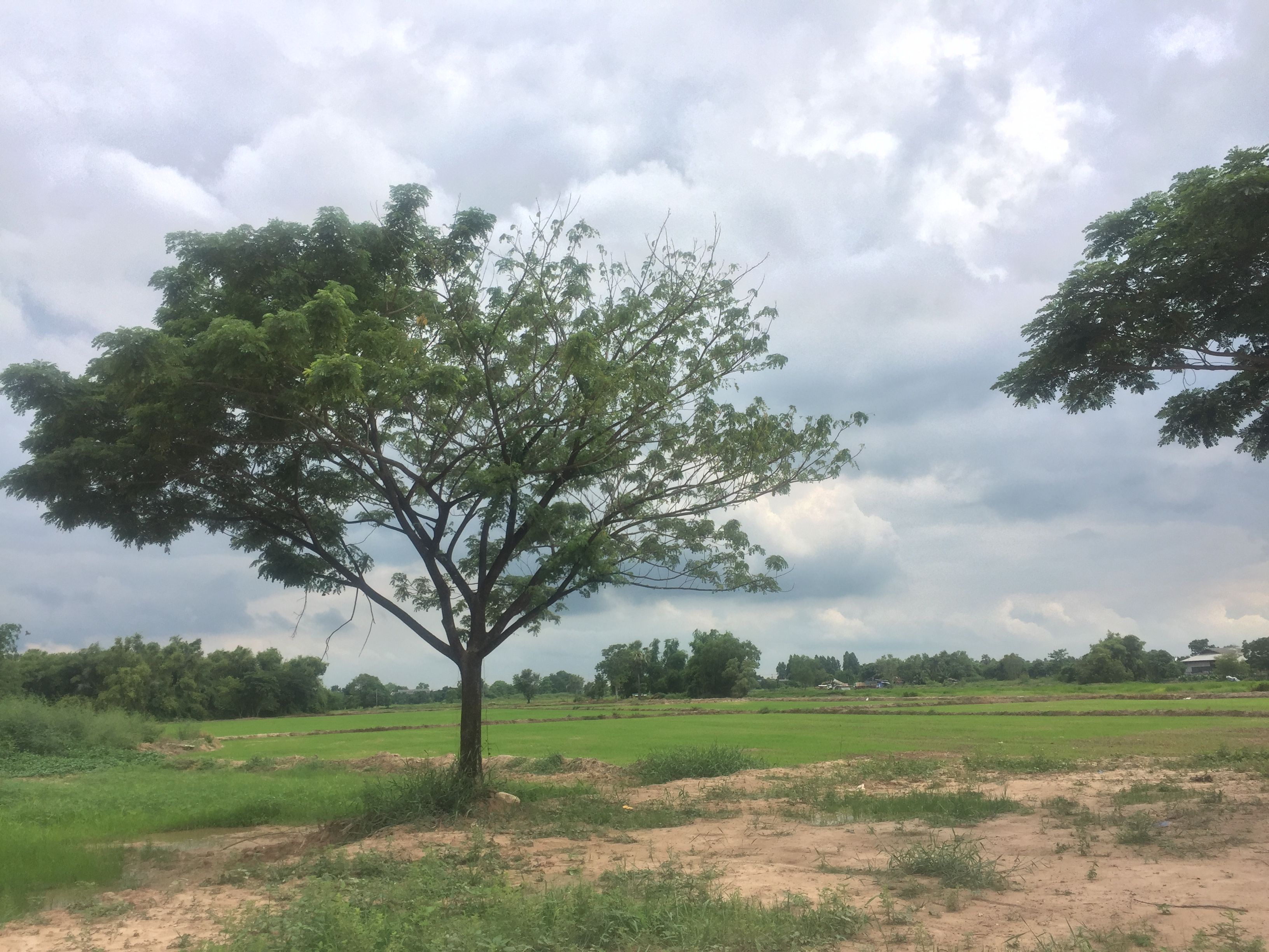 ขายที่ดิน จังหวัดนครนายก ติดถนนใหญ่ 47-2-37.9 ไร่