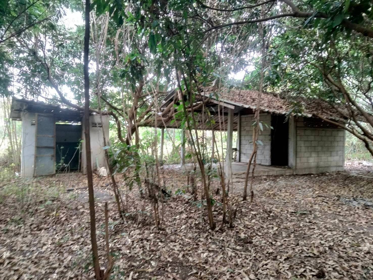 บ้านพร้อมสวนสัน เชียงใหม่ 1-2-66