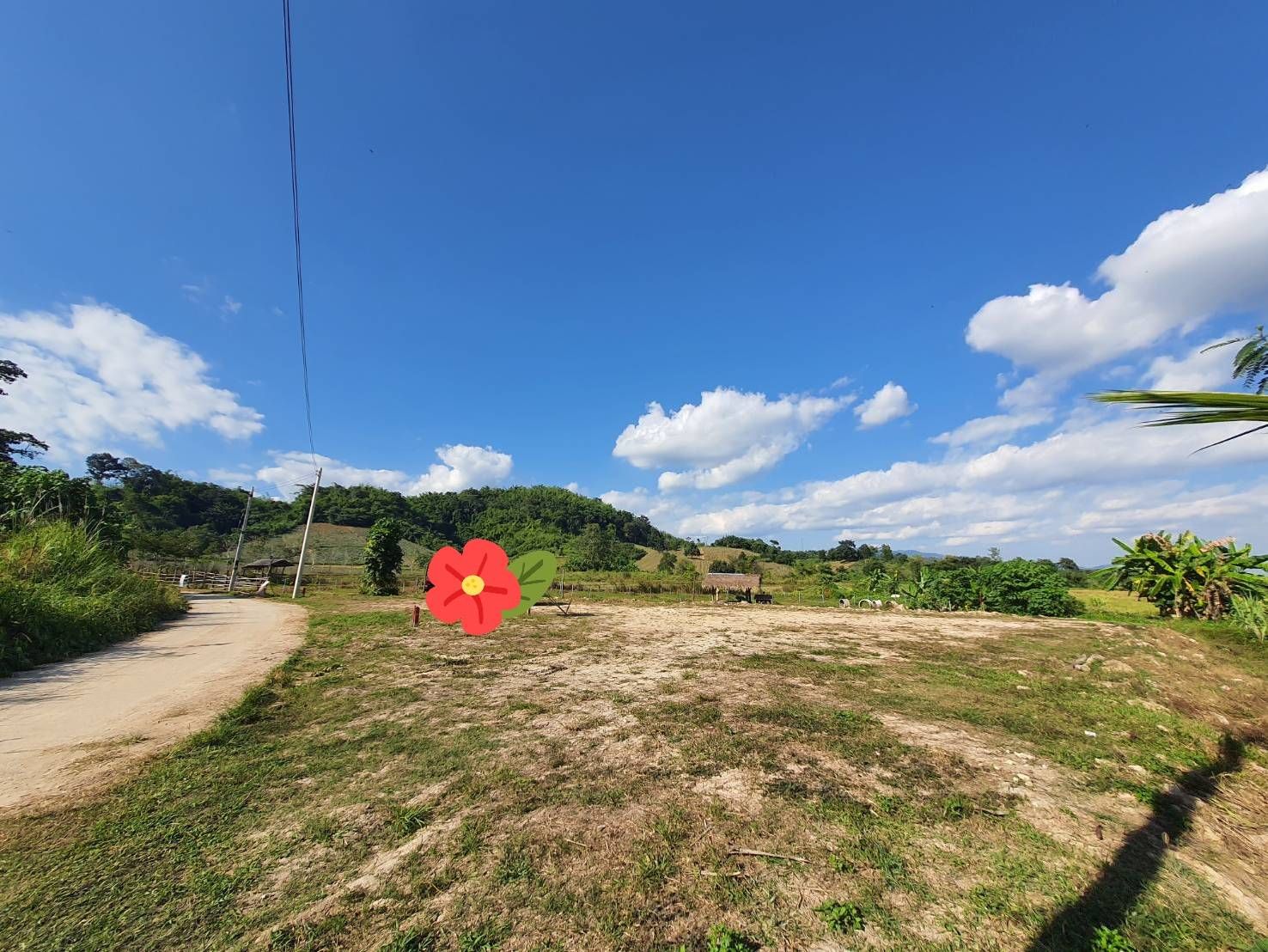 ขายที่ดินเชียงราย ติดถนนสาธารณะ ใกล้ชุมชนดอยฮาง เมืองเชียงราย 0-1-39