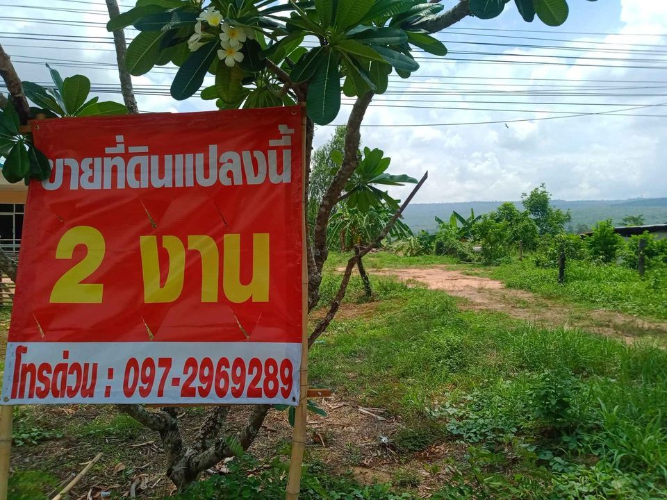 ขายที่ดิน 2 งาน บ้าานตาดโตน