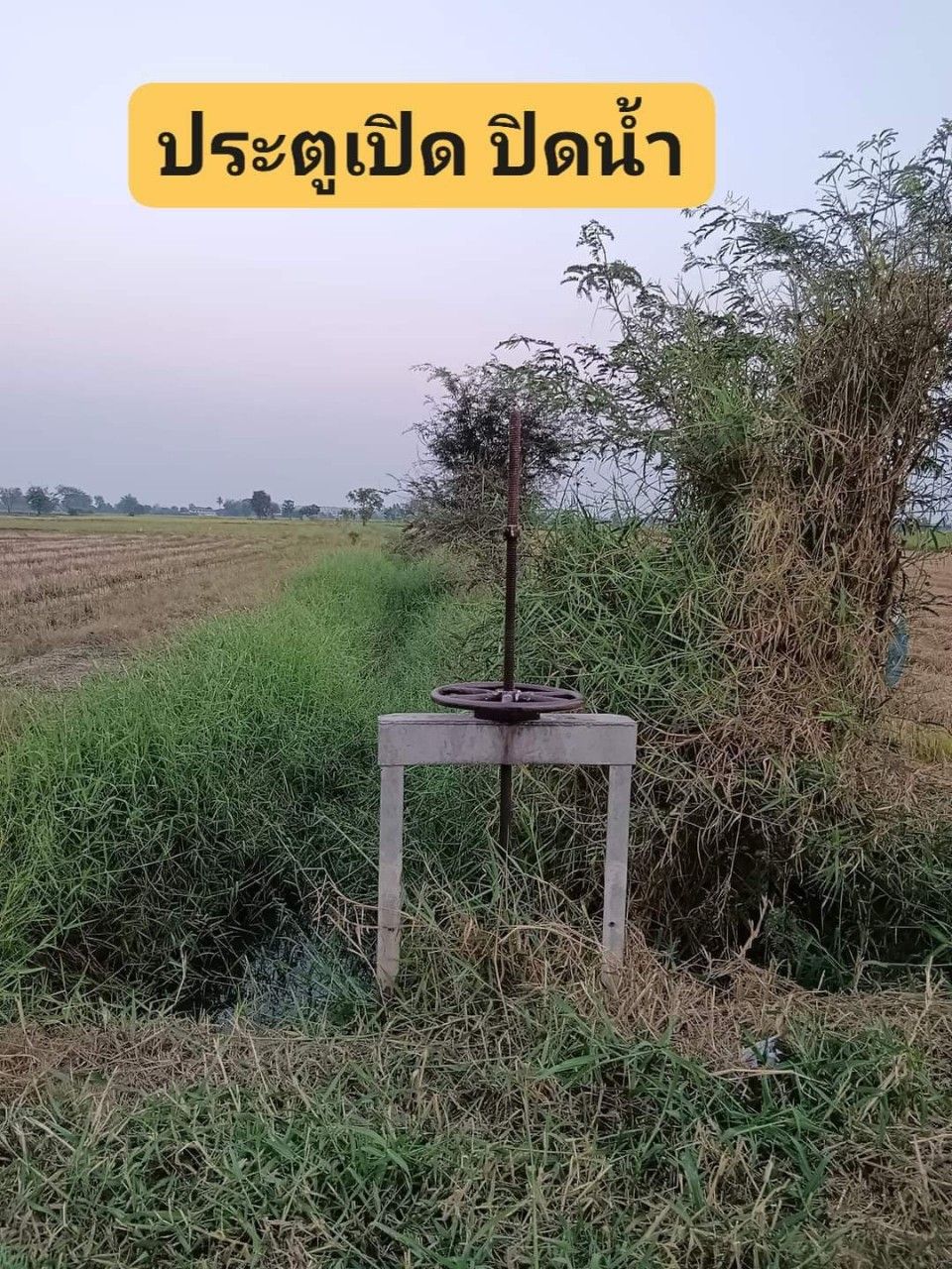 ขายที่นา มีเหมืองส่งน้ำ เจาะบาดานให้แล้ว