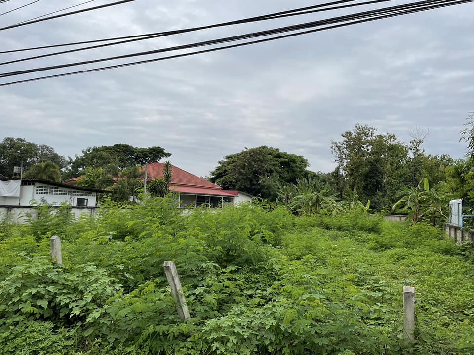 ขายที่ดิน ลำปาง 344 ตรว.