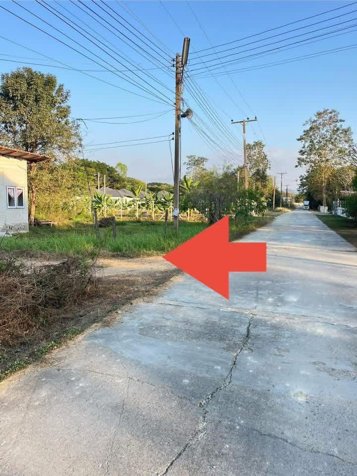 ขายที่ดิน บ้านสันไร่ ซอย 5 100 ตรว. ต.สันกำแพง อ.สันกำแพง จ.เชียงใหม่