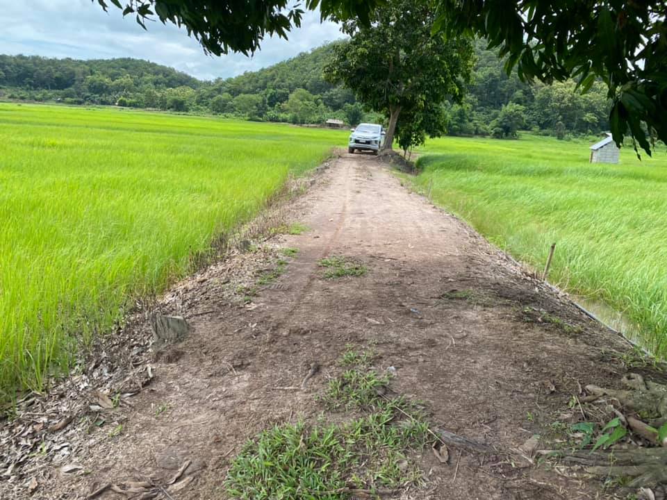 ที่ดินเป็นนา เชียงราย 10-0-62