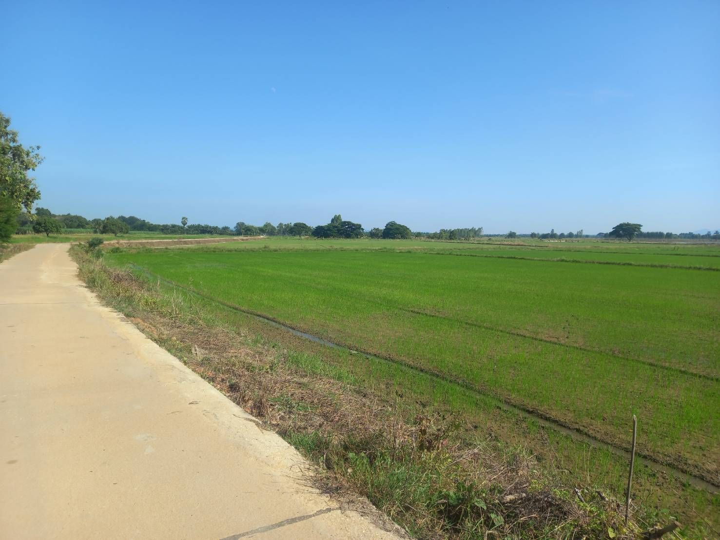 ขายที่ดินกาญจนบุรี เป็นที่นา แปลงสวย ทำเลดี บรรยากาศดี ใกล้บ้านสวนน้ำ น่าลงทุนมาก
