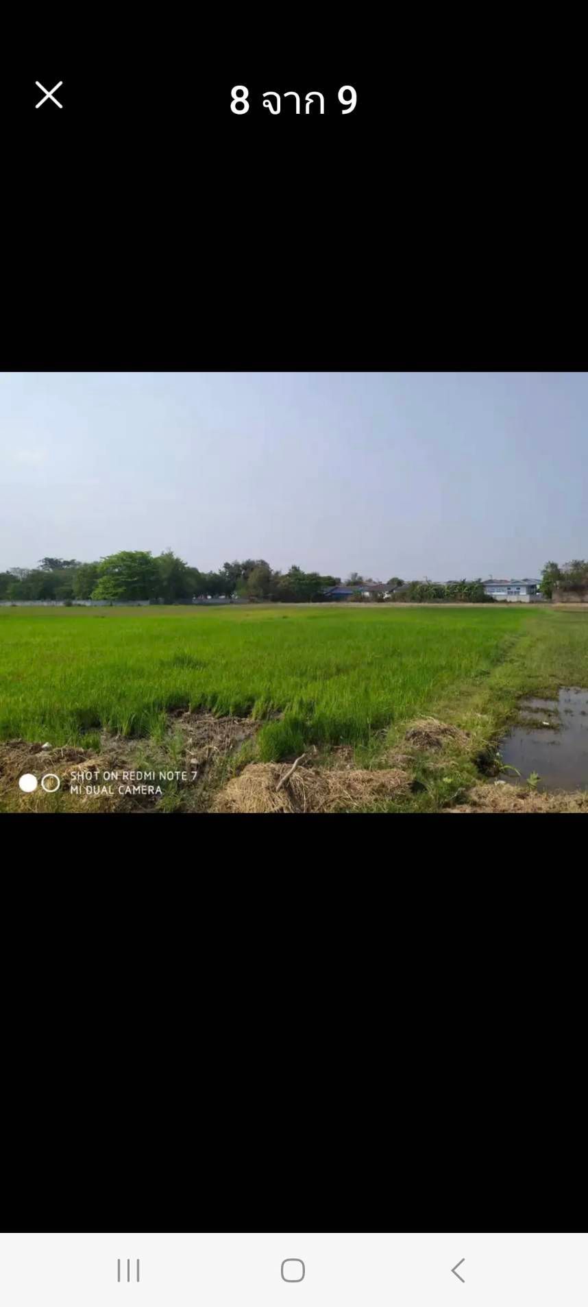 เจ้าของขายเอง