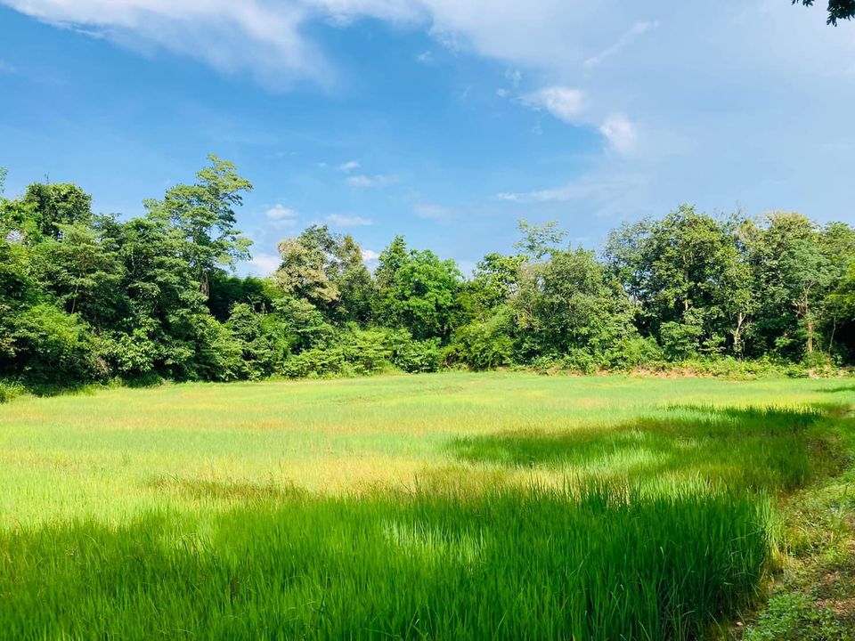 ขายที่ดิน ลำปาง 1-1-37 ไร่