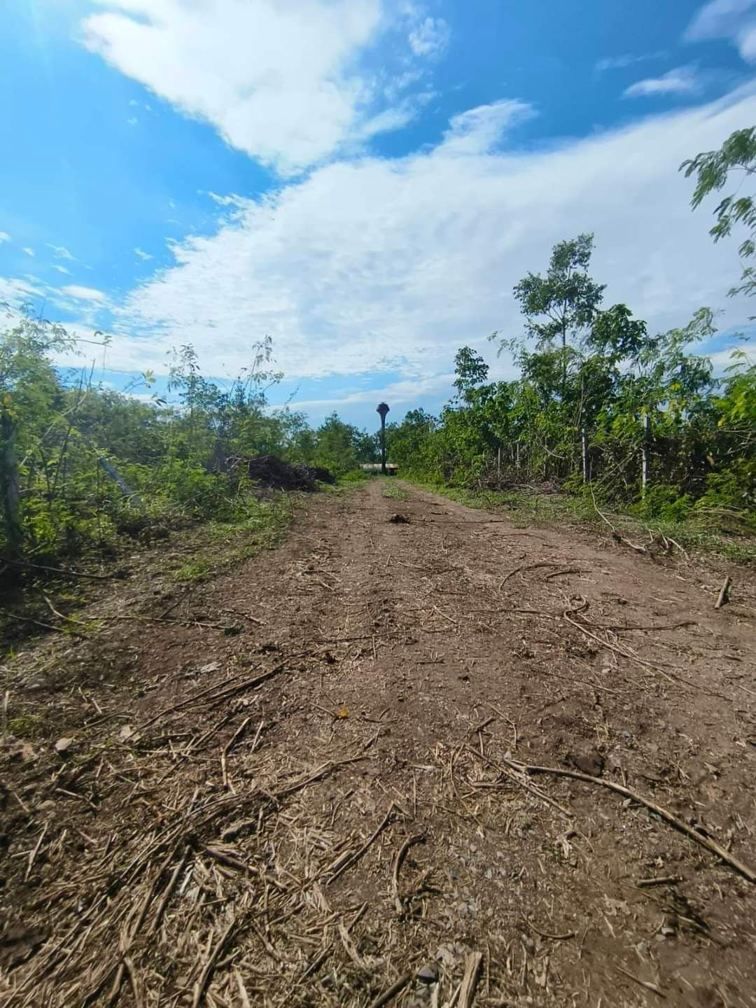 ขายที่ดินขนาด 200 ตร.วา