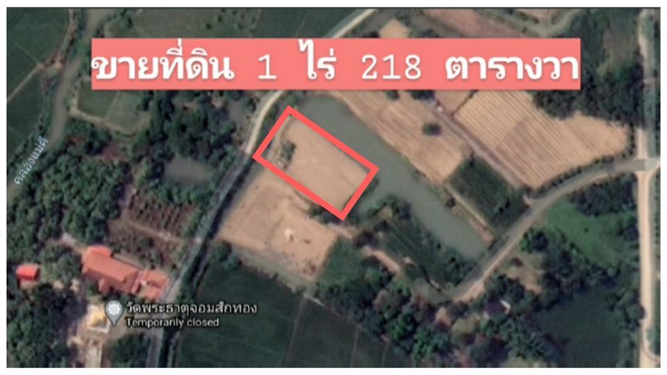 ขายที่ดินแปลงสวย ทำเลดี แม่จัน เชียงราย