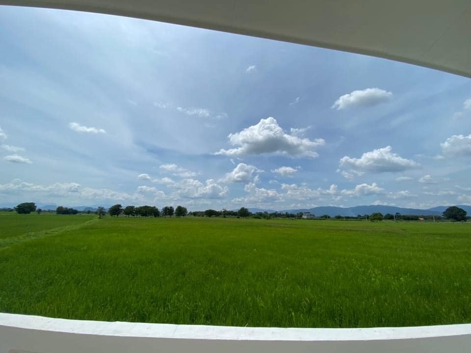 บ้านเดี่ยว วิวทุ่งนา ใหม่มาก 