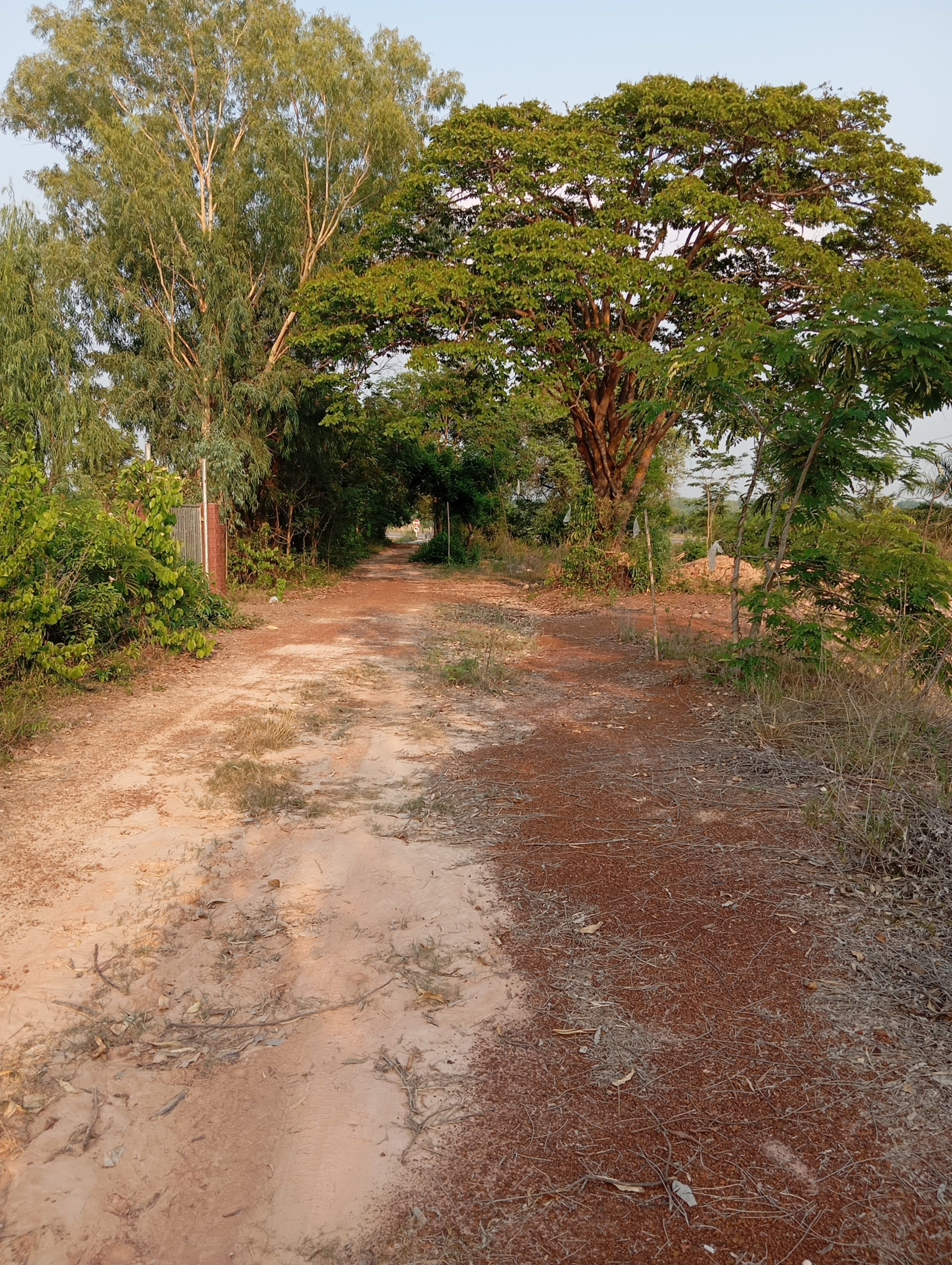 ขายที่ดิน
