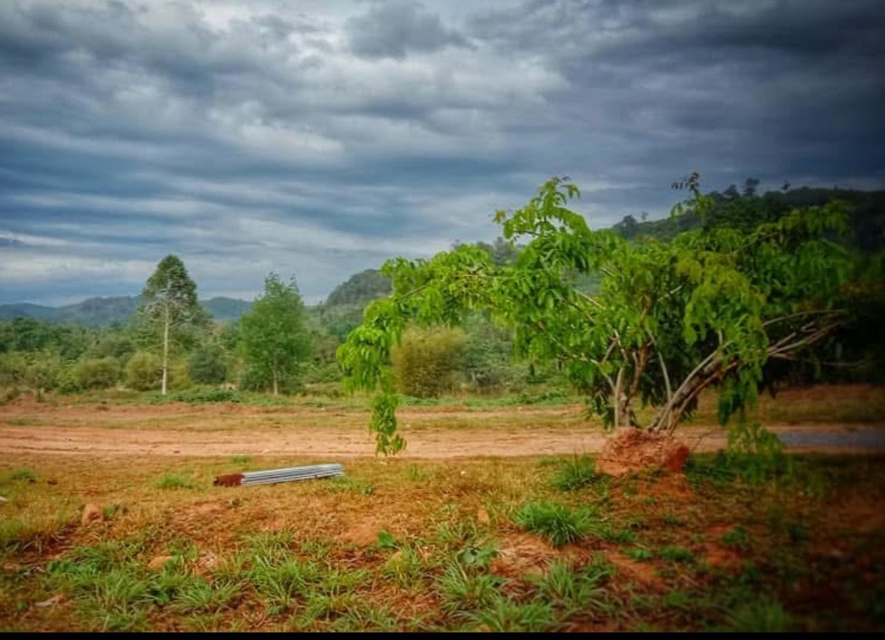 Land mountain view360 !!!! For sale ทำเลแห่งอากาศบริสุทธิ์