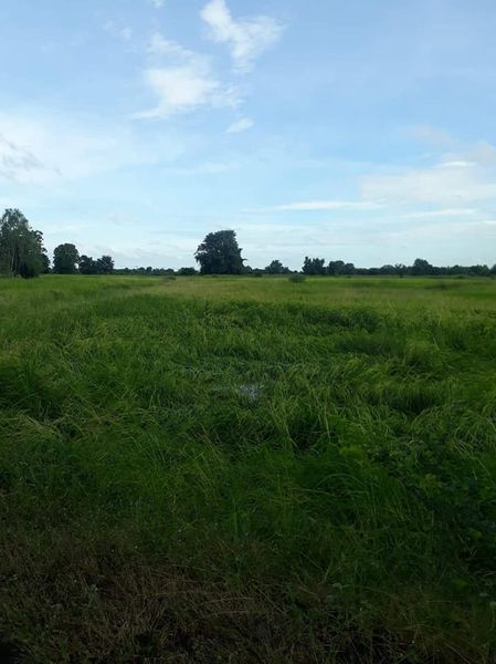 ที่ดินติดคลอง กาญจนบุรี 4-2-85