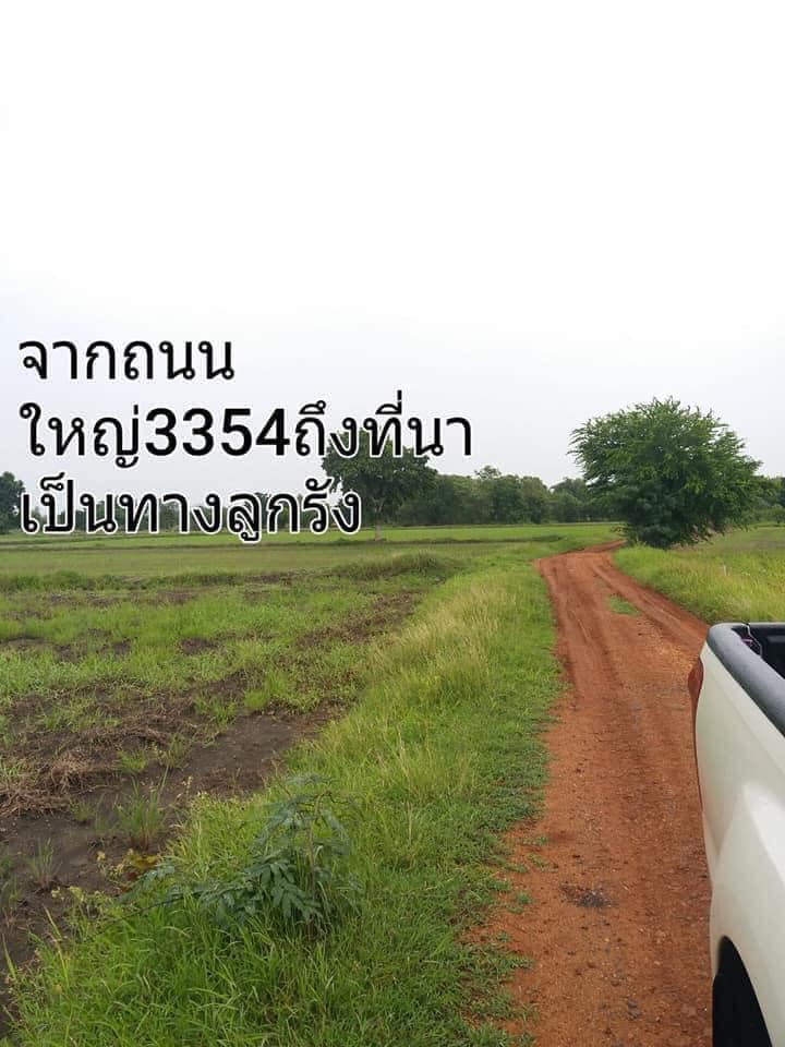 ขายที่ดินลพบุรี อ.บ้านหมี่ 17-0-55 ไร่