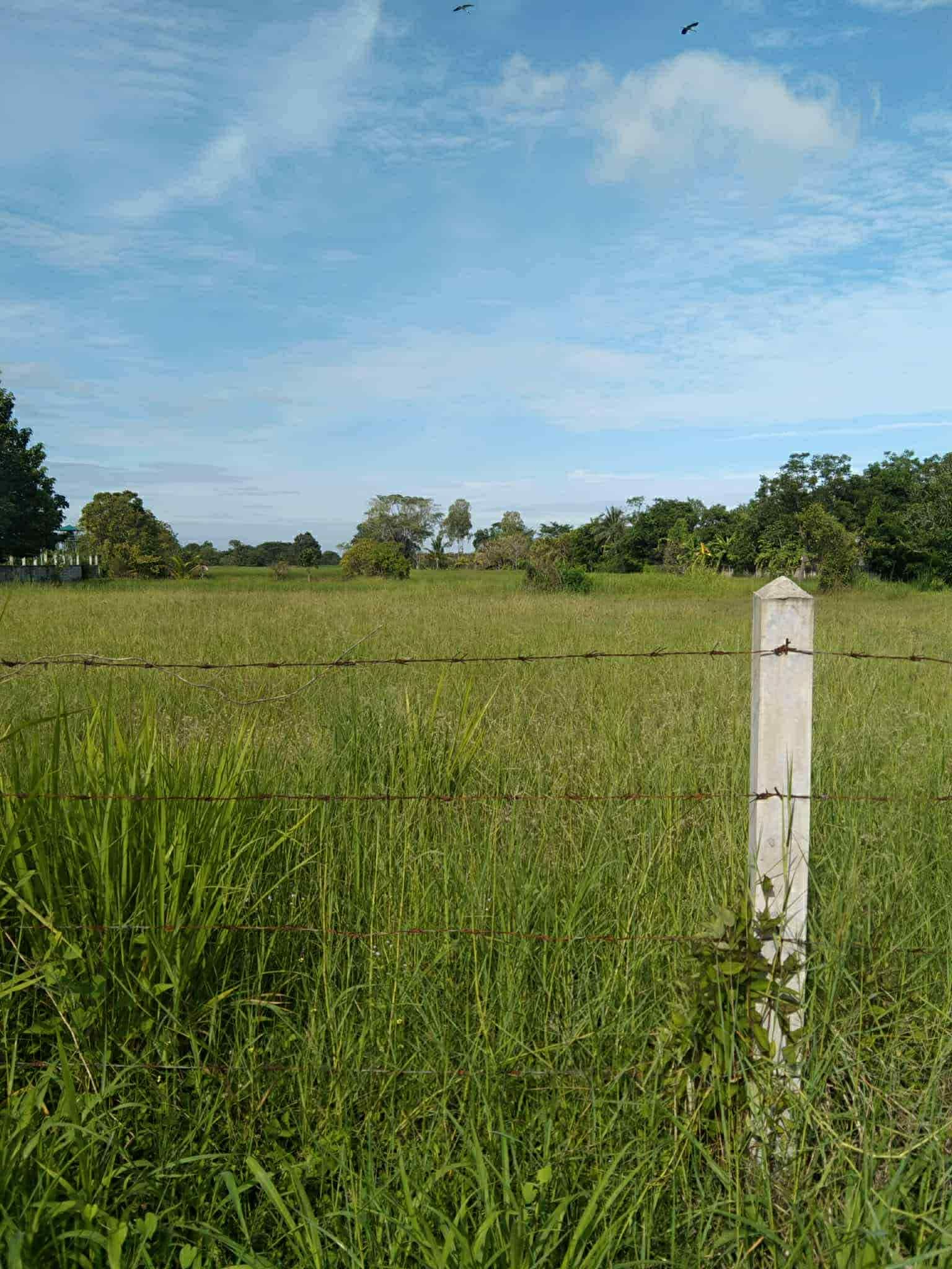 ที่ดินติดถนนเมืองคง-บ้านวัด